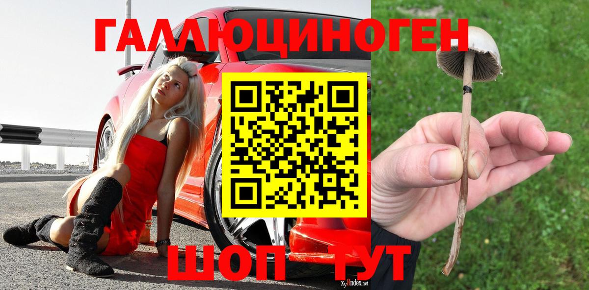 Галлюциногенные грибы прущие грибы  Вход с VPN  Прокопьевск 